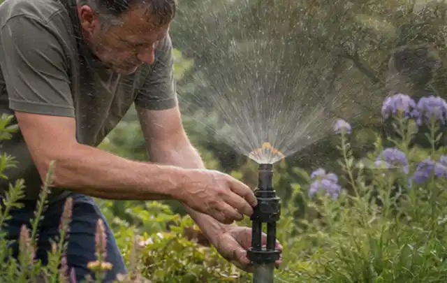 Person richtet einen laufenden Gartensprenger zwischen Stauden präzise aus; Thema Zierrasen, Schwerpunkt Rasen; Ausgangslage.