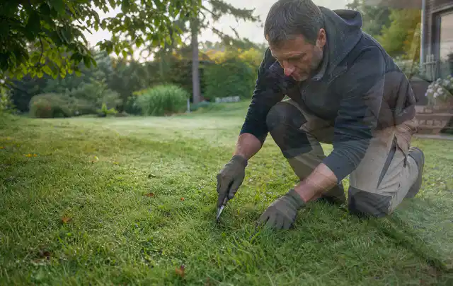 Person prüft den Boden einer gepflegten Rasenfläche im Garten; Thema Zierrasen, Schwerpunkt Rasen; Kontrolle.
