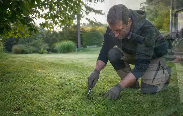 Person prüft den Boden einer gepflegten Rasenfläche im Garten; Thema Zierrasen, Schwerpunkt Rasengesundheit; Umsetzung.