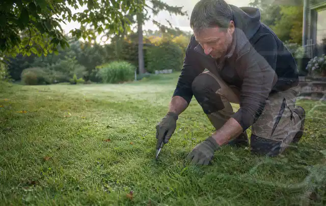 Person prüft den Boden einer gepflegten Rasenfläche im Garten; Thema Zierrasen, Schwerpunkt Sommerpflege; Ergebnis.