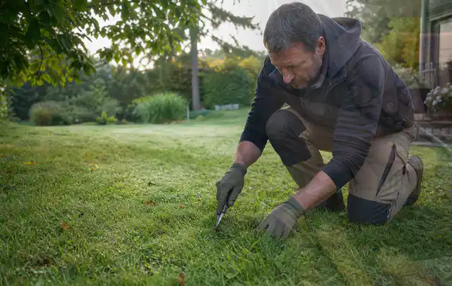 Person prüft den Boden einer gepflegten Rasenfläche im Garten; Thema Zierrasen, Schwerpunkt Vertikutieren; Praxisalltag.