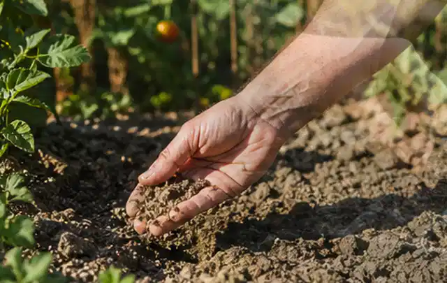 Hand prüft trockene krümelige Gartenerde während einer warmen Sommerphase; Thema Zisternen, Schwerpunkt Bestenliste; Ausgangslage.