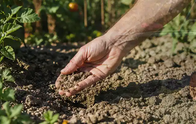 Hand prüft trockene krümelige Gartenerde während einer warmen Sommerphase; Thema Zisternen, Schwerpunkt Checkliste; Ausgangslage.
