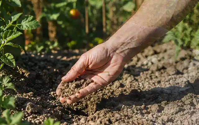 Hand prüft trockene krümelige Gartenerde während einer warmen Sommerphase; Thema Zisternen, Schwerpunkt Kosten; Ausgangslage.