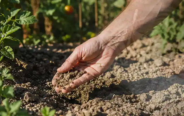 Hand prüft trockene krümelige Gartenerde während einer warmen Sommerphase; Thema Zisternen, Schwerpunkt Sicherheit; Kontrolle.