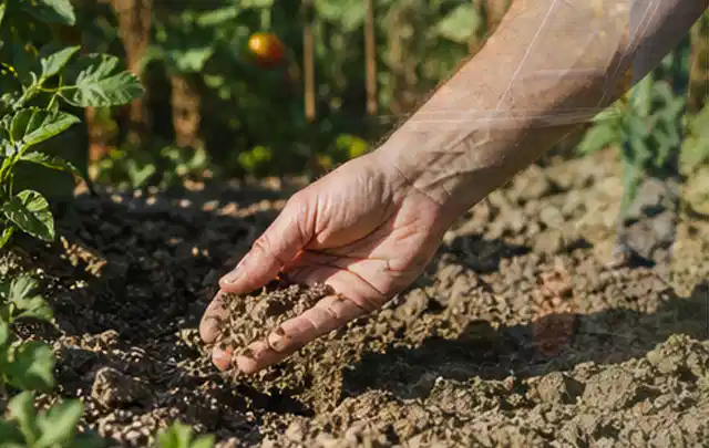 Hand prüft trockene krümelige Gartenerde während einer warmen Sommerphase; Thema Zisternen, Schwerpunkt Systemvergleich; Praxisalltag.