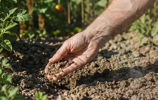 Hand prüft trockene krümelige Gartenerde während einer warmen Sommerphase; Thema Zisternen, Schwerpunkt Wartung; Umsetzung.