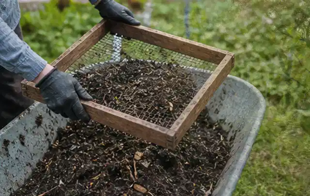 Behandschuhte Hände sieben reifen Kompost über einer Gartenschubkarre; Thema Zitronenmelisse, Schwerpunkt Standort; Praxisalltag.