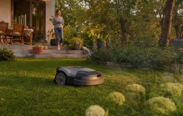 Mähroboter fährt am Abend über einen Rasen im Familiengarten; Thema Zubehör, Schwerpunkt Mähroboter; Ergebnis.