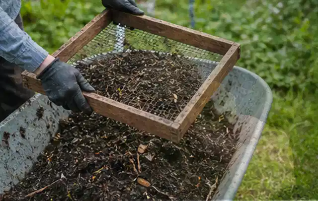 Behandschuhte Hände sieben reifen Kompost über einer Gartenschubkarre; Thema Zucchini, Schwerpunkt Ernteprobleme; Praxisalltag.
