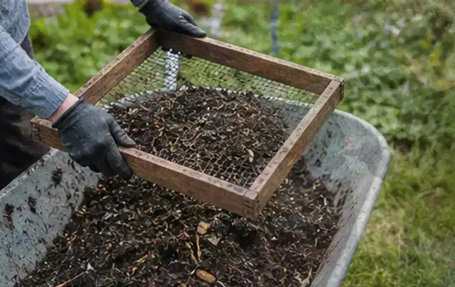 Behandschuhte Hände sieben reifen Kompost über einer Gartenschubkarre; Thema Zucchini, Schwerpunkt Lagerung; Ausgangslage.
