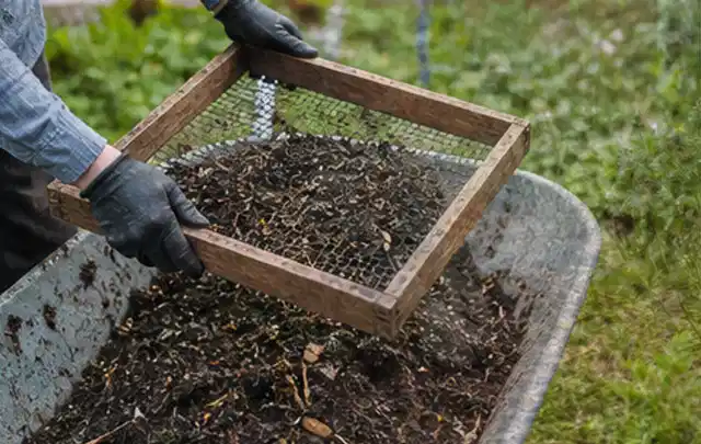 Behandschuhte Hände sieben reifen Kompost über einer Gartenschubkarre; Thema Zucchini, Schwerpunkt Nährstoffe; Umsetzung.
