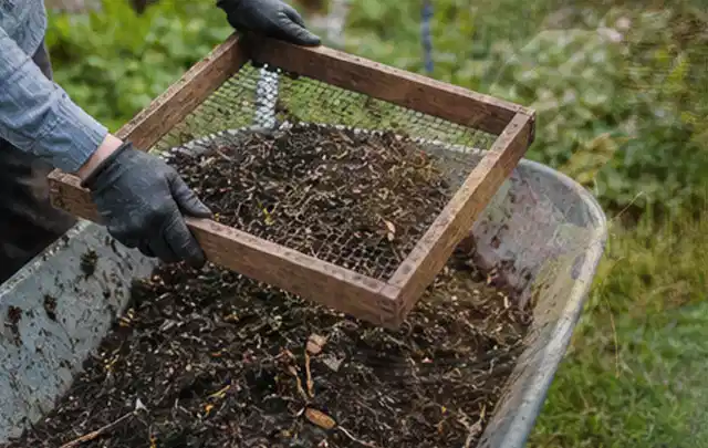 Behandschuhte Hände sieben reifen Kompost über einer Gartenschubkarre; Thema Zucchini, Schwerpunkt Saisonkalender; Umsetzung.