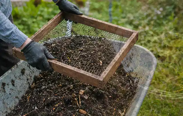 Behandschuhte Hände sieben reifen Kompost über einer Gartenschubkarre; Thema Zucchini, Schwerpunkt Standort; Praxisalltag.