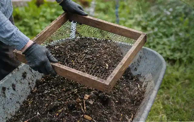 Behandschuhte Hände sieben reifen Kompost über einer Gartenschubkarre; Thema Zwiebeln, Schwerpunkt Balkongarten; Ausgangslage.