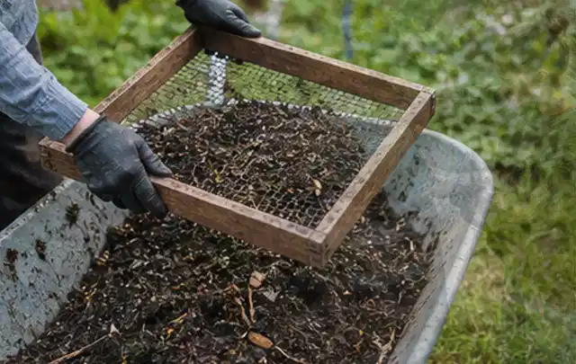 Behandschuhte Hände sieben reifen Kompost über einer Gartenschubkarre; Thema Zwiebeln, Schwerpunkt Boden; Praxisalltag.